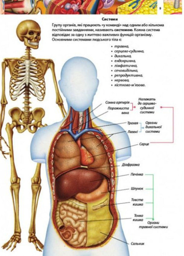 Children's encyclopedia.Human body / Дитяча енциклопедія. Тіло людини  9789664663240-3