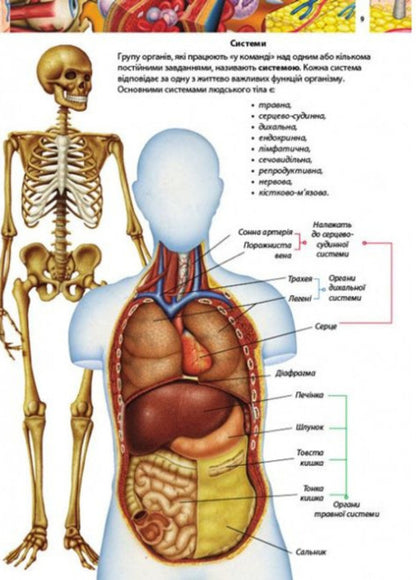 Children's encyclopedia.Human body / Дитяча енциклопедія. Тіло людини  9789664663240-3