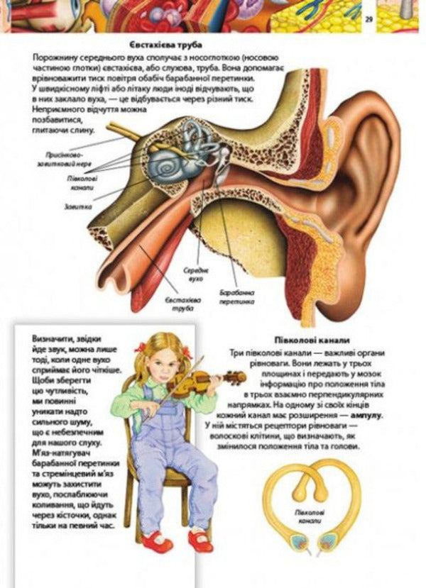 Children's encyclopedia.Human body / Дитяча енциклопедія. Тіло людини  9789664663240-5