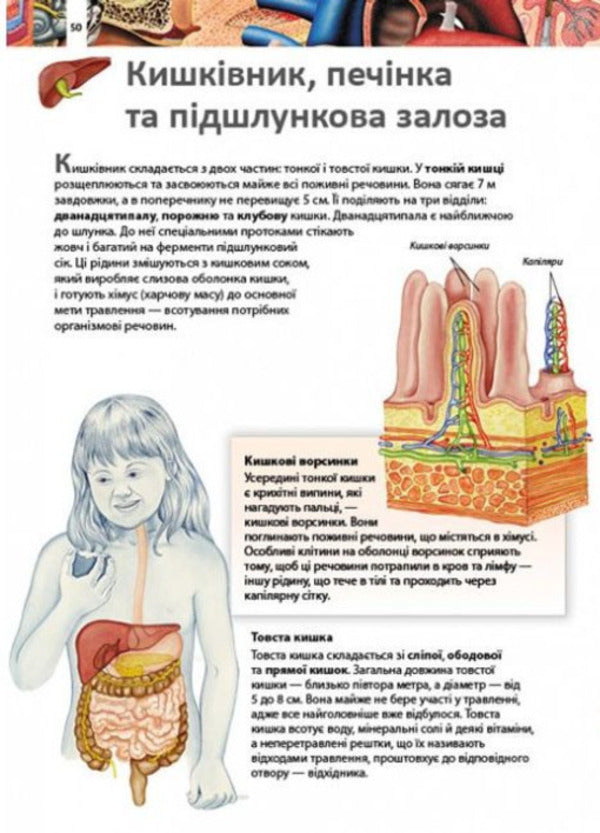 Children's encyclopedia.Human body / Дитяча енциклопедія. Тіло людини  9789664663240-6