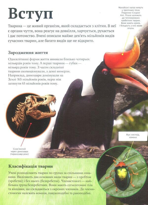 Children's encyclopedia of animals / Дитяча енциклопедія тварин Майкл Лич, Мериел Лленд 978-966-942-575-1-4