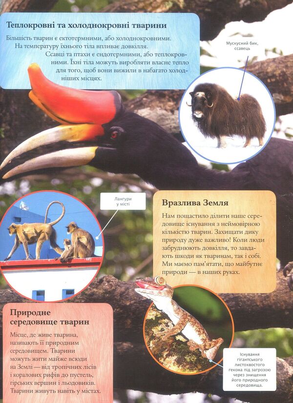 Children's encyclopedia of animals / Дитяча енциклопедія тварин Майкл Лич, Мериел Лленд 978-966-942-575-1-5