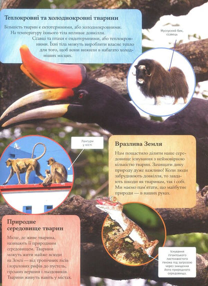 Children's encyclopedia of animals / Дитяча енциклопедія тварин Майкл Лич, Мериел Лленд 978-966-942-575-1-5