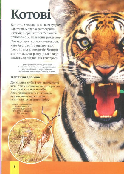 Children's encyclopedia of animals / Дитяча енциклопедія тварин Майкл Лич, Мериел Лленд 978-966-942-575-1-6