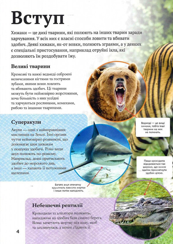 Children's encyclopedia of predators / Дитяча енциклопедія хижаків Алекс Вульф, Клэр Филлипс 978-966-982-851-4-4