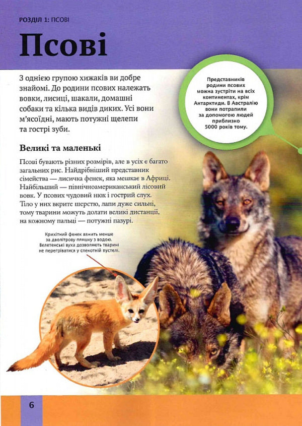 Children's encyclopedia of predators / Дитяча енциклопедія хижаків Алекс Вульф, Клэр Филлипс 978-966-982-851-4-6