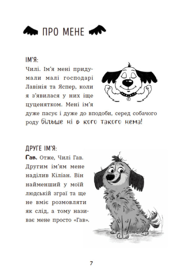 Chile Gav. Gloom Through A Dog Outlook / Чилі Гав. Морока через собачий світогляд Sabin Zett / Sabine son -in -law 9786170996114-4