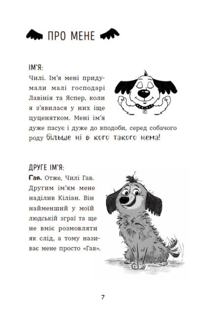 Chile Gav. Gloom Through A Dog Outlook / Чилі Гав. Морока через собачий світогляд Sabin Zett / Sabine son -in -law 9786170996114-4