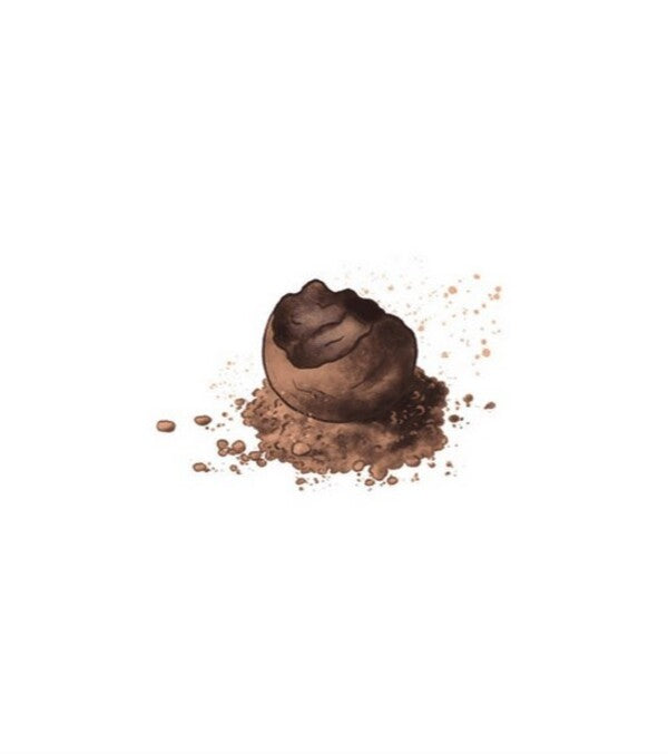 Chocolate Cat And Candy Witch / Шоколадний Кіт і Цукеркова Відьма Tatiana Strizhevskaya / Тетяна Стрижевська 9789664480571-2