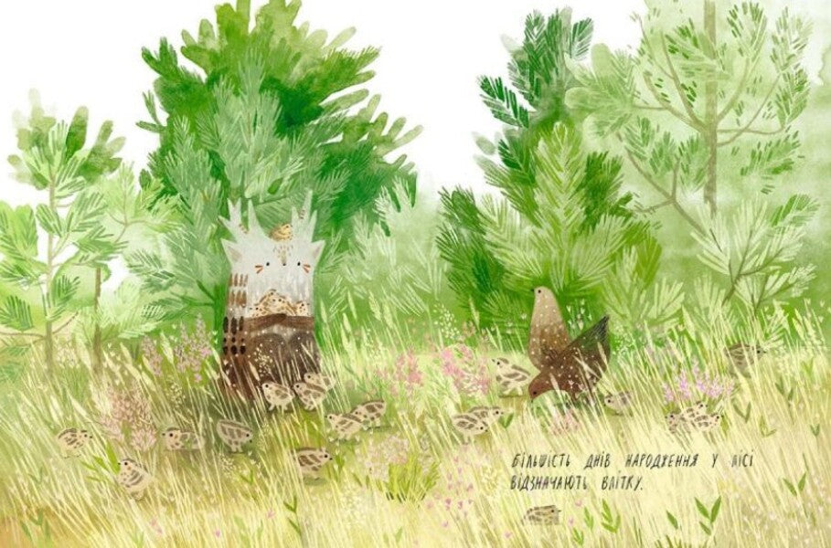 Christmas tree birthday / День народження ялинки Оксана Була 978-617-679-618-3-4