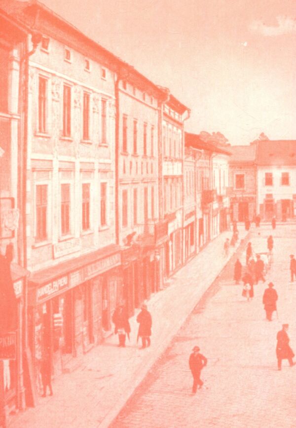Chronicle of the branch of the Union of Ukrainian Women in Stanislavov / Хроніка філії Союзу Українок у Станиславові Амалия Рубель 978-966-668-219-5-2