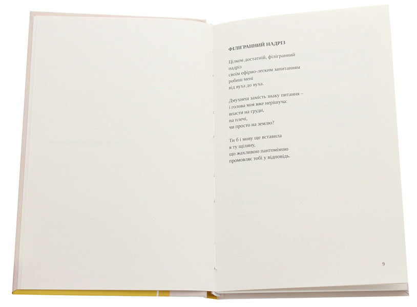 Chronicle of trifles / Хроніка дрібниць Алан Бешич 978-617-614-302-4-4