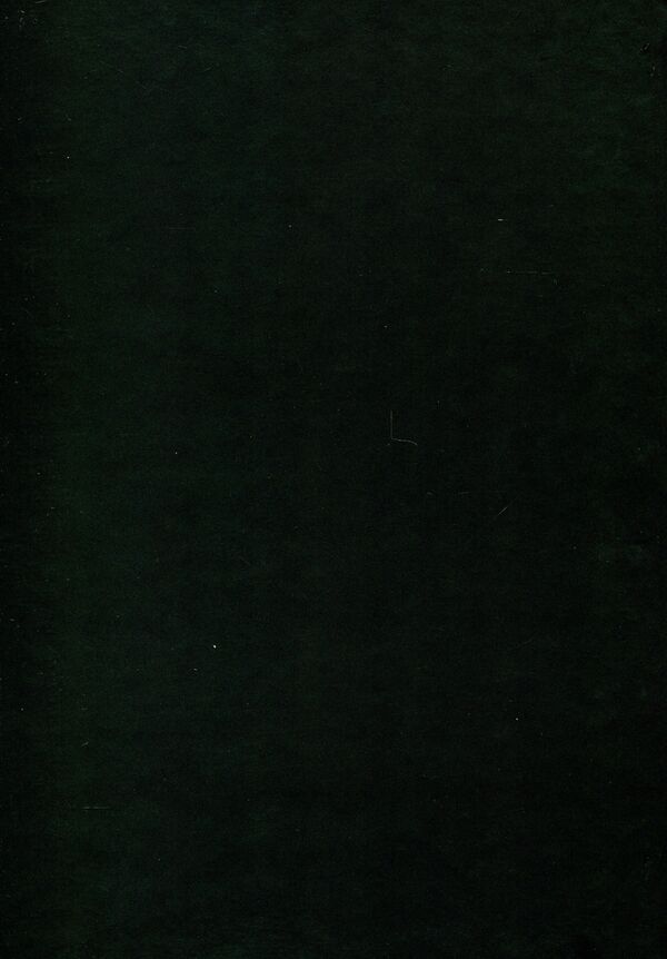 Chronotopes Of History. Studios In Honor Of Petr Kiridon's Memory / Хронотопи історії. Студії на пошану пам’яті Петра Васильовича Киридона / Author not specified 9789665217664-2