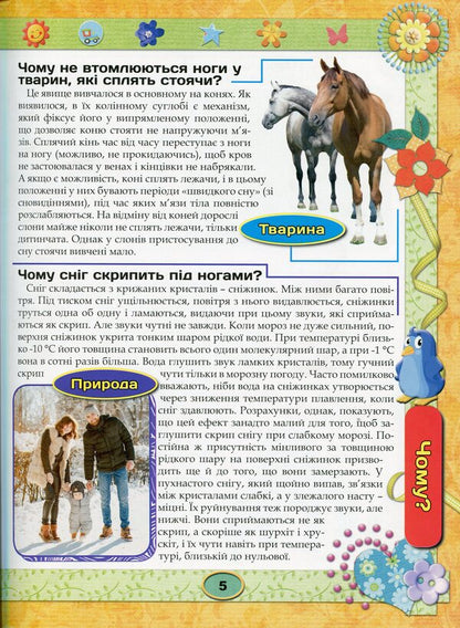 Chumsik encyclopedia.Violet / Енциклопедія чомусика. Фіолетова Юлия Карпенко 9786175368701-4