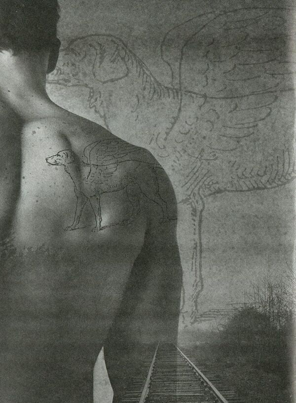 Cinnabar / Кіновар Юлия Броварна 978-966-279-047-4-3