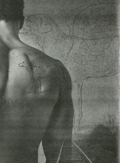 Cinnabar / Кіновар Юлия Броварна 978-966-279-047-4-3