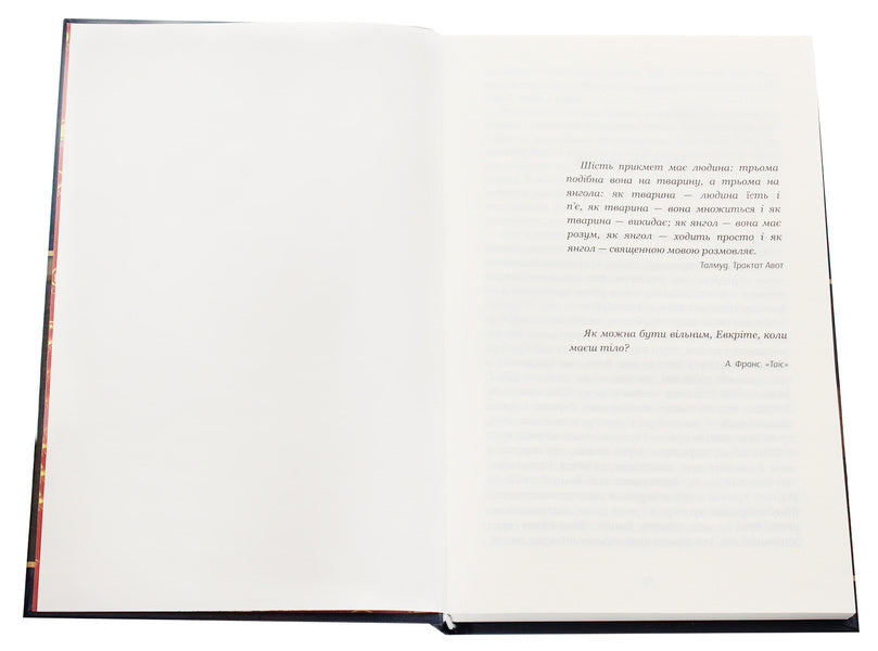 City / Місто Валерьян Пидмогильный 978-966-10-4113-3-4