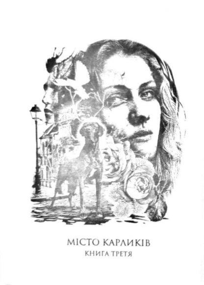 City Of Dwarfs. Book 3-4 / Місто карликів. Книга 3-4 Lesya Romanchuk / Леся Романчук 9789661049795-2