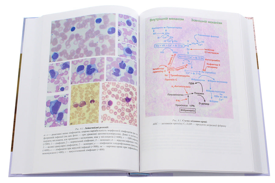 Clinical laboratory diagnostics. Textbook / Клінічна лабораторна діагностика. Підручник  978-617-505-838-1-5