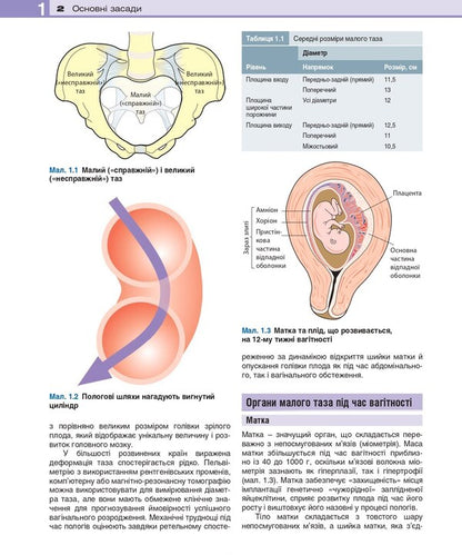 Clinical obstetrics and gynecology / Клінічне акушерство та гінекологія Брайан А. Магован, Филип Оуэн, Эндрю Томсон 978-617-505-882-4-5