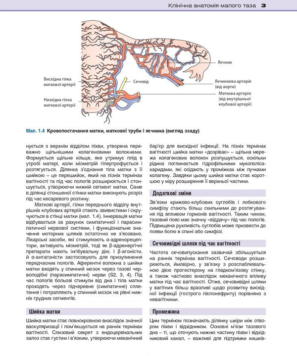 Clinical obstetrics and gynecology / Клінічне акушерство та гінекологія Брайан А. Магован, Филип Оуэн, Эндрю Томсон 978-617-505-882-4-6