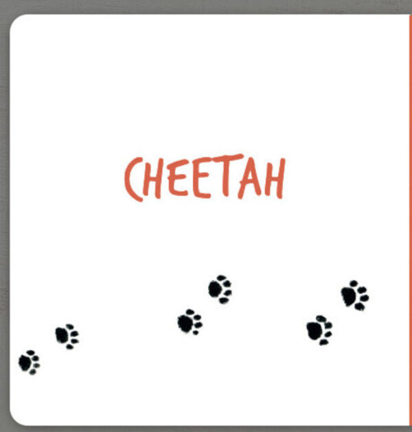 Collect the rainbow. Animals of Africa / Collect the rainbow. Animals of Africa Екатерина Таберко 9786177940455-2