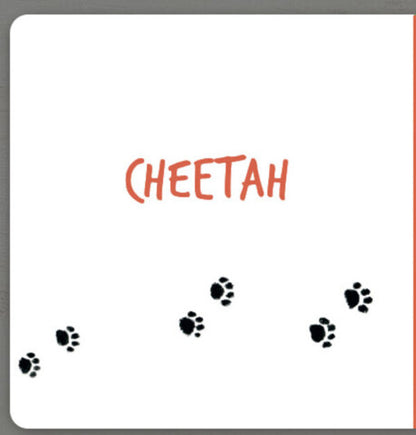 Collect the rainbow. Animals of Africa / Collect the rainbow. Animals of Africa Екатерина Таберко 9786177940455-2