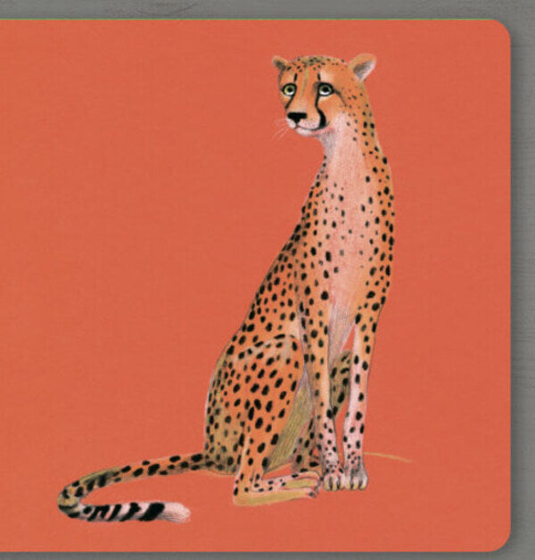 Collect the rainbow. Animals of Africa / Collect the rainbow. Animals of Africa Екатерина Таберко 9786177940455-3