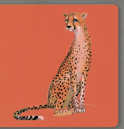 Collect the rainbow. Animals of Africa / Collect the rainbow. Animals of Africa Екатерина Таберко 9786177940455-3