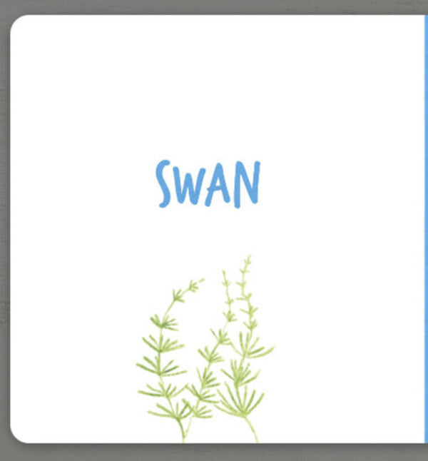 Collect the rainbow. Birds / Collect the rainbow. Birds Екатерина Таберко 9786177940493-4