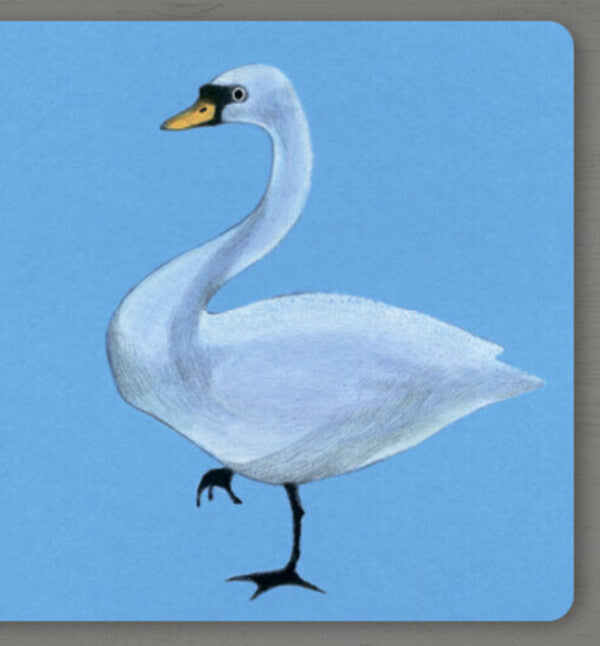 Collect the rainbow. Birds / Collect the rainbow. Birds Екатерина Таберко 9786177940493-5