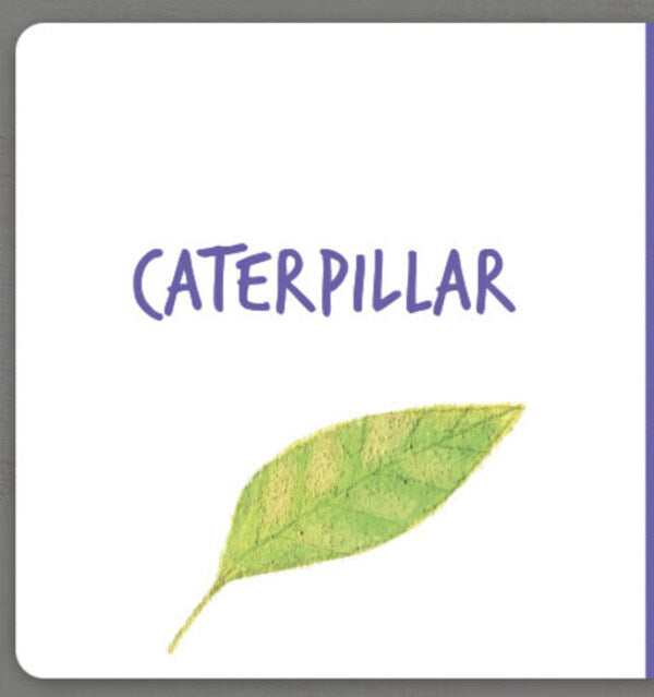 Collect the rainbow. Insects / Collect the rainbow. Insects Екатерина Таберко 9786177940516-4