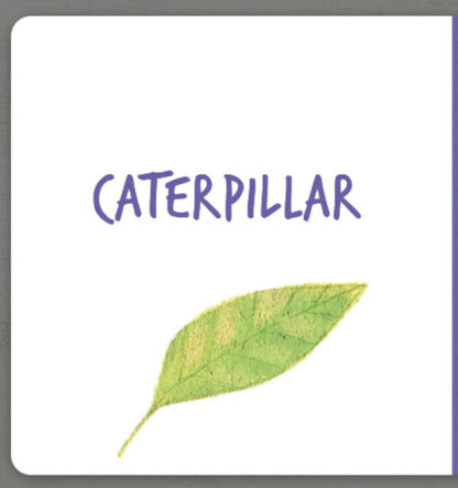 Collect the rainbow. Insects / Collect the rainbow. Insects Екатерина Таберко 9786177940516-4