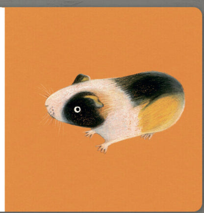 Collect the rainbow. Pets / Collect the rainbow. Pets Екатерина Таберко 9786177940462-3