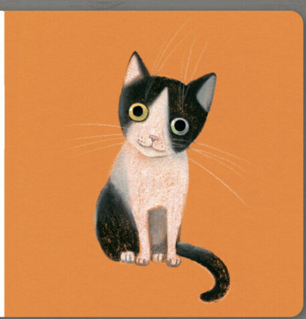 Collect the rainbow. Pets / Collect the rainbow. Pets Екатерина Таберко 9786177940462-5