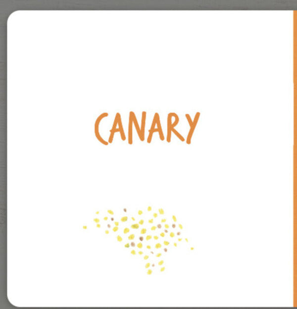 Collect the rainbow. Pets / Collect the rainbow. Pets Екатерина Таберко 9786177940462-6