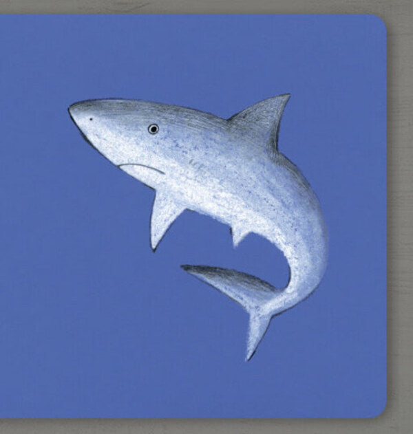 Collect the rainbow. sea ​​animals / Collect the rainbow. Sea animals Екатерина Таберко 9786177940509-3