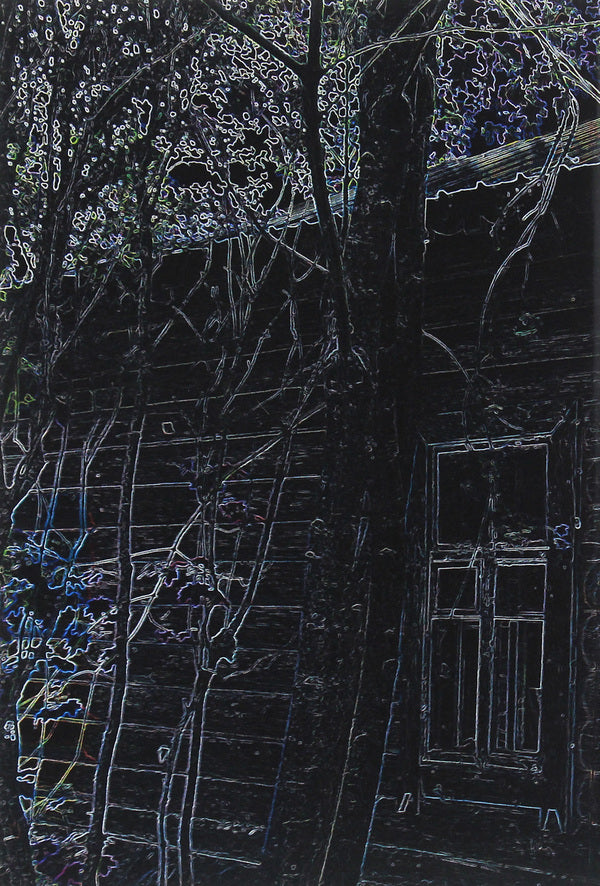 Collective farm childhood and German slavery / Колгоспне дитинство й німецька неволя Антонина Хелемендик-Кокот 978-611-01-1919-1-2