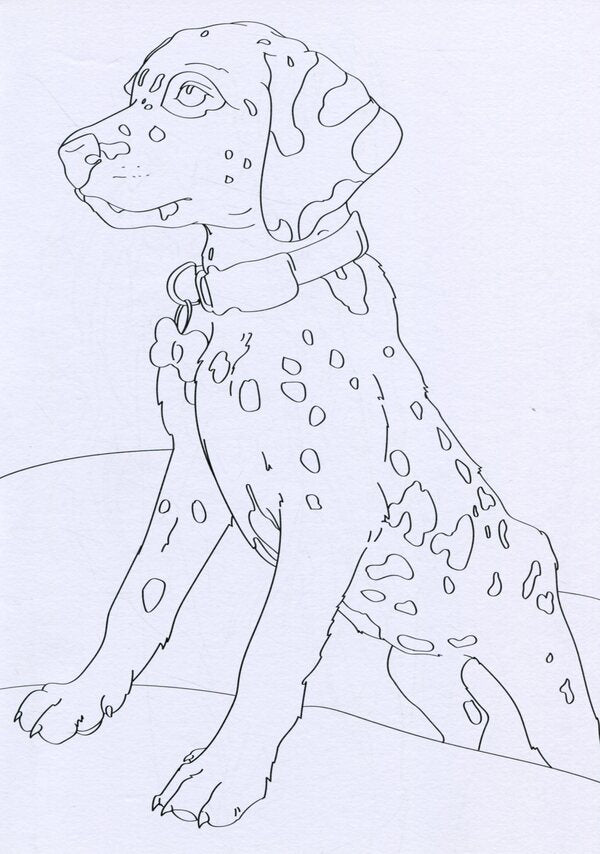 Coloring book for girls. Fluffy pets / Розмальовка для дівчат. Пухнасті улюбленці  978-966-982-677-0-3