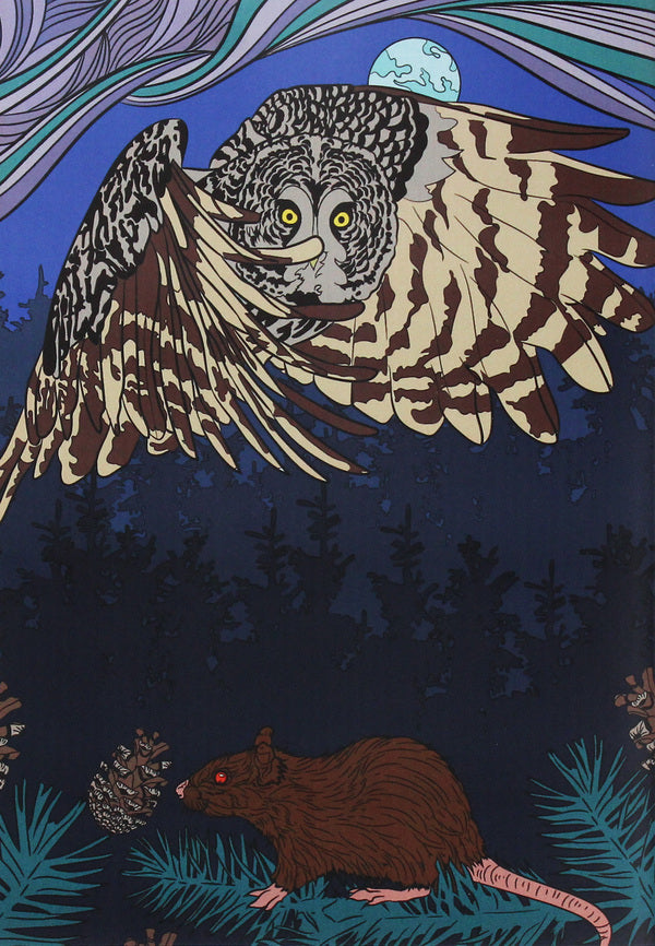 Coloring pages for adults / Розмальовки для дорослих  978-0-89000-997-0-2