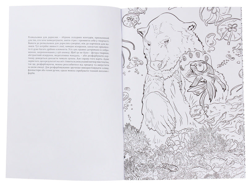 Coloring pages for adults / Розмальовки для дорослих  978-0-89000-997-0-3