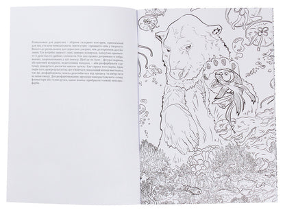 Coloring pages for adults / Розмальовки для дорослих  978-0-89000-997-0-3