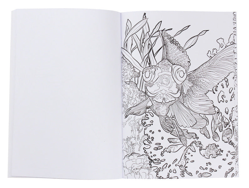 Coloring pages for adults / Розмальовки для дорослих  978-0-89000-997-0-4