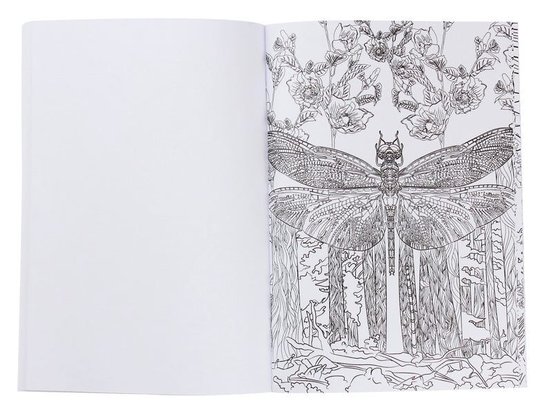 Coloring pages for adults / Розмальовки для дорослих  978-0-89000-997-0-5