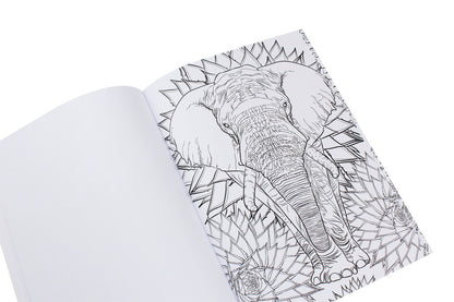 Coloring pages for adults / Розмальовки для дорослих  978-0-89000-997-0-6