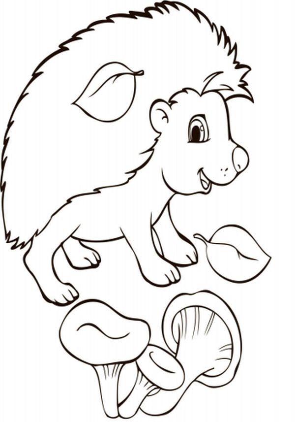 Coloring pages in a purse. Animal / Розмальовки у сумочці. Звірятка  9789667484613-3