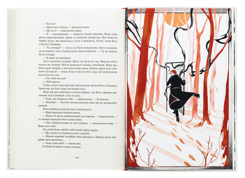 Colors Of Magic Book 2 Shadows Thicken - Кольори маг Книга 2 Тн згущуються V E Shvab - В  Шваб 9786178383077-6