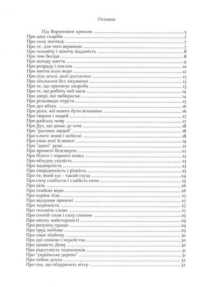 Comfort Is A Mountain. Under The Raven Wing / Розрада-гора. Під Вороновим крилом Myroslav Dochynets / Мирослав Дочинець 9789668269318-3