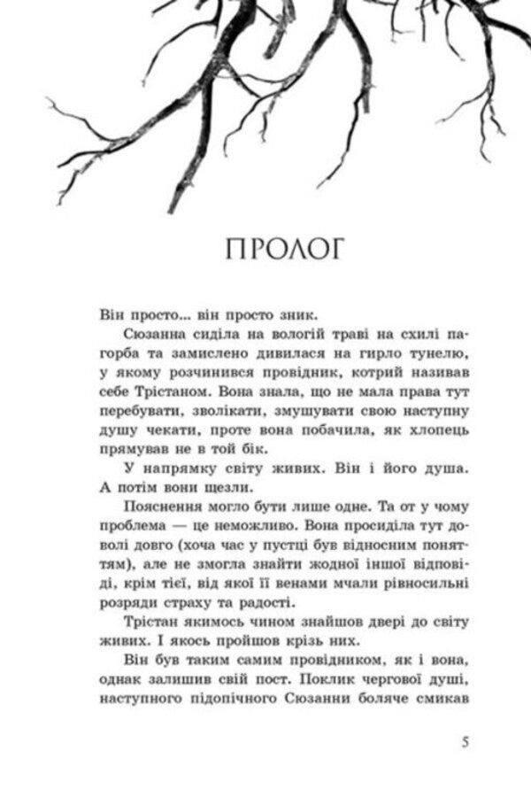 Conductor. Book 2. Violators / Провідник. Книга 2. Порушники Claire McFall / Клер Макфолл 9786170972675-3