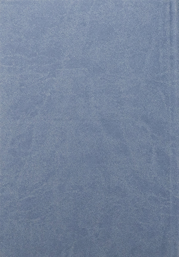 Confessional paintings of the churches of the city of Konotop of the second half of the 18th century. Volume 3. Book 2 / Сповідні розписи церков міста Конотоп другої половини XVIII ст. Том 3. Книга 2  978-617-8467-02-9-2